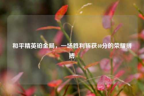 和平精英铂金局，一场胜利斩获40分的荣耀拼搏