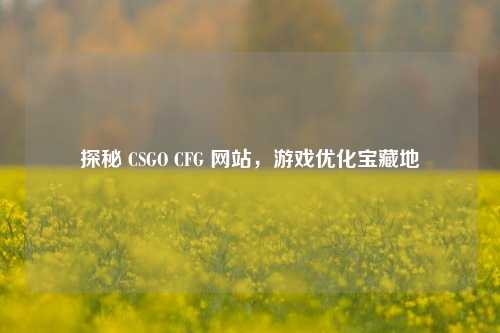 探秘 CSGO CFG 网站，游戏优化宝藏地