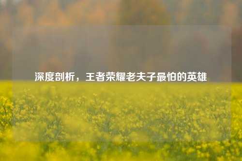 深度剖析，王者荣耀老夫子最怕的英雄