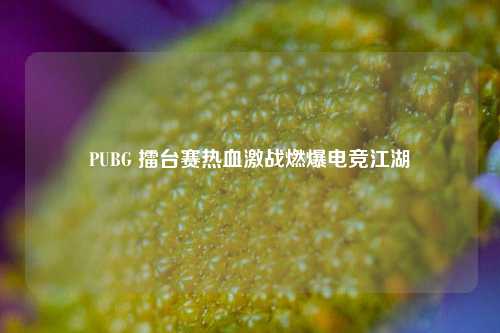 PUBG 擂台赛热血激战燃爆电竞江湖