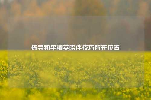 探寻和平精英陪伴技巧所在位置
