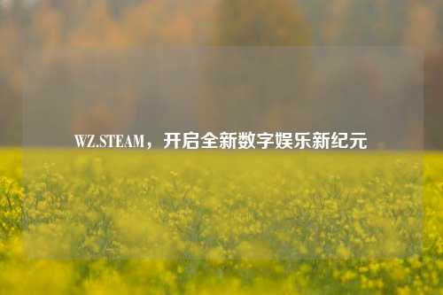 WZ.STEAM，开启全新数字娱乐新纪元
