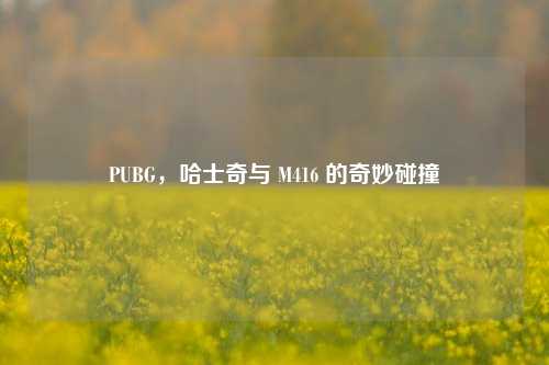 PUBG，哈士奇与 M416 的奇妙碰撞