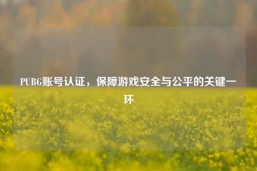 PUBG账号认证，保障游戏安全与公平的关键一环