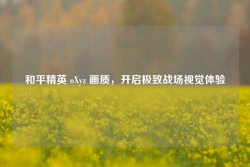 和平精英 oXyz 画质，开启极致战场视觉体验