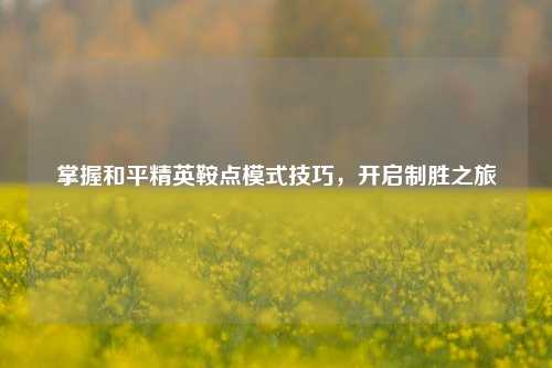 掌握和平精英鞍点模式技巧，开启制胜之旅