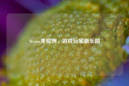 Steam免税洲，游戏玩家新乐园