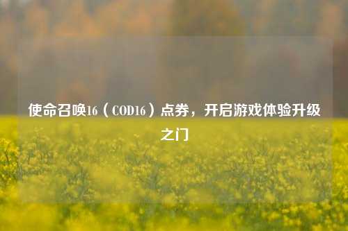 使命召唤16（COD16）点券，开启游戏体验升级之门