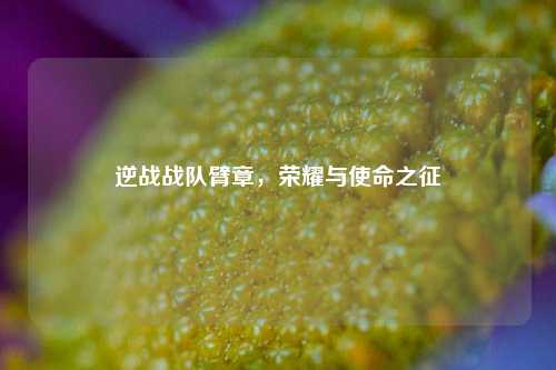 逆战战队臂章，荣耀与使命之征