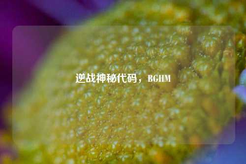 逆战神秘代码，BGHM