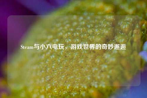 Steam与小六电玩，游戏世界的奇妙邂逅