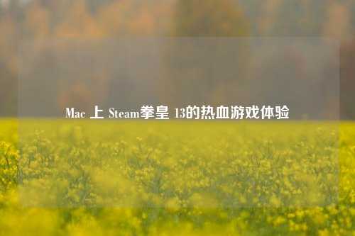 Mac 上 Steam拳皇 13的热血游戏体验