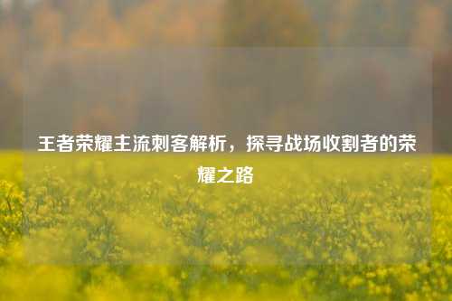王者荣耀主流刺客解析，探寻战场收割者的荣耀之路