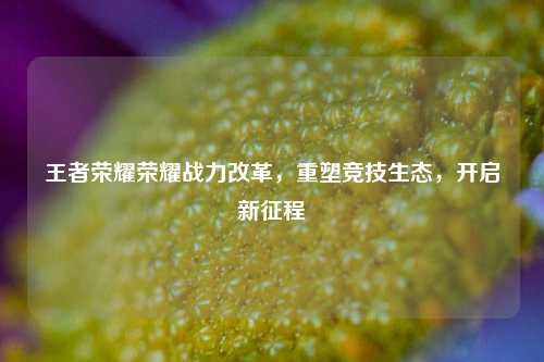 王者荣耀荣耀战力改革，重塑竞技生态，开启新征程