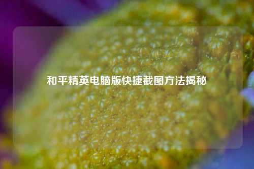 和平精英电脑版快捷截图方法揭秘