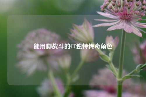 能用脚战斗的CF独特传奇角色