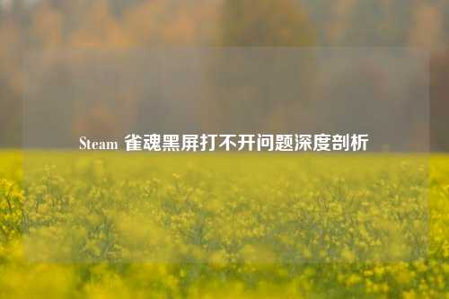 Steam 雀魂黑屏打不开问题深度剖析