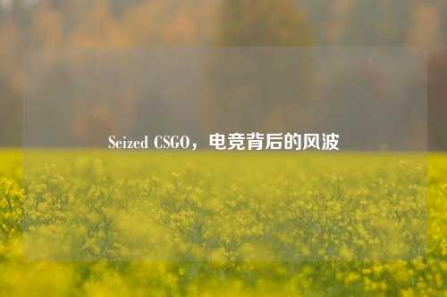 Seized CSGO，电竞背后的风波