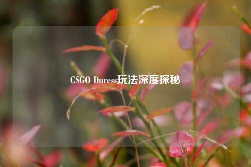 CSGO Duress玩法深度探秘