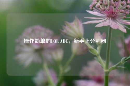 操作简单的LOL ADC，新手上分利器