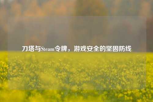刀塔与Steam令牌，游戏安全的坚固防线
