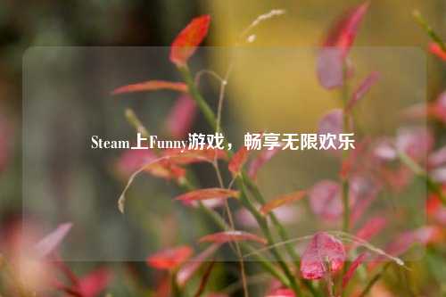 Steam上Funny游戏，畅享无限欢乐