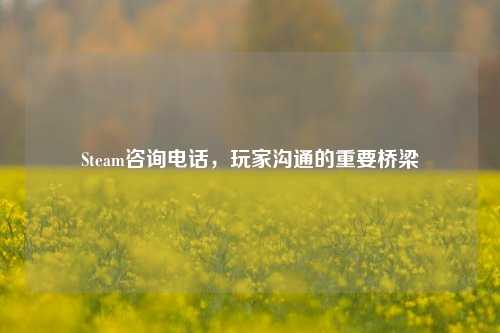 Steam咨询电话，玩家沟通的重要桥梁