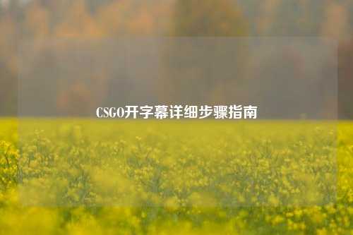 CSGO开字幕详细步骤指南