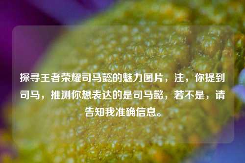 探寻王者荣耀司马懿的魅力图片，注，你提到司马，推测你想表达的是司马懿，若不是，请告知我准确信息。