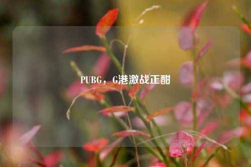 PUBG，G港激战正酣