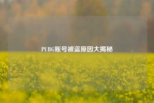 PUBG账号被盗原因大揭秘