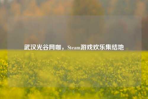 武汉光谷网咖，Steam游戏欢乐集结地