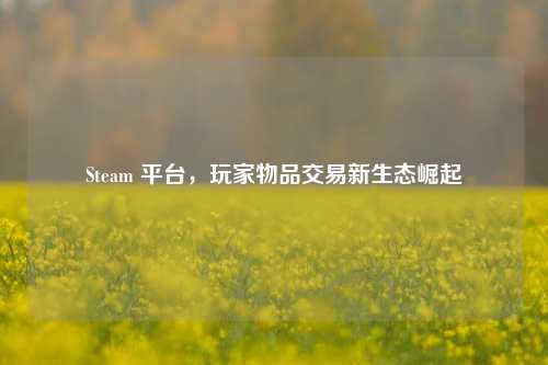 Steam 平台，玩家物品交易新生态崛起