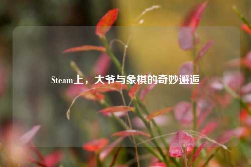 Steam上，大爷与象棋的奇妙邂逅
