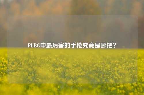 PUBG中最厉害的手枪究竟是哪把？