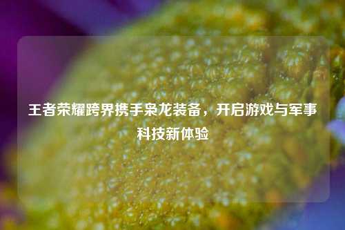 王者荣耀跨界携手枭龙装备，开启游戏与军事科技新体验