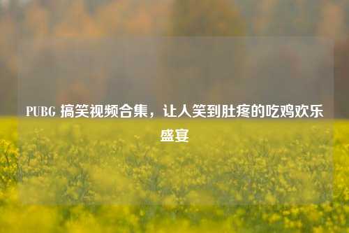 PUBG 搞笑视频合集,让人笑到肚疼的吃鸡欢乐盛宴