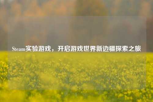 Steam实验游戏,开启游戏世界新边疆探索之旅