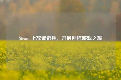 Steam 上放置奇兵,开启别样游戏之旅
