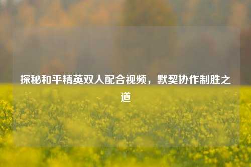 探秘和平精英双人配合视频，默契协作制胜之道