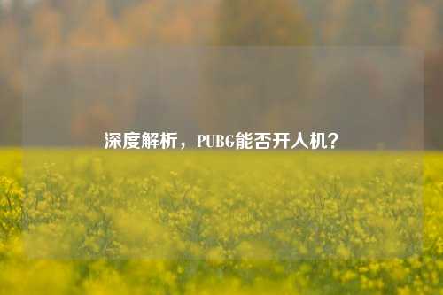 深度解析，PUBG能否开人机？