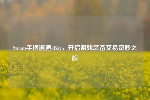 Steam手柄邂逅eBay，开启游戏装备交易奇妙之旅