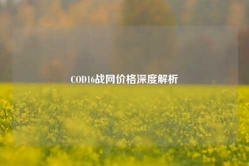 COD16战网价格深度解析