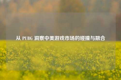 从 PUBG 洞察中美游戏市场的碰撞与融合