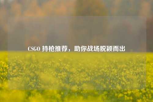 CSGO 持枪推荐，助你战场脱颖而出
