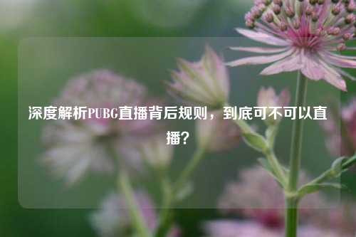 深度解析PUBG直播背后规则，到底可不可以直播？