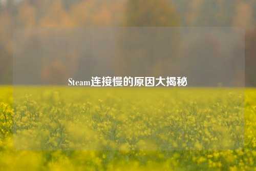 Steam连接慢的原因大揭秘