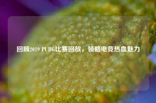 回顾2019 PUBG比赛回放,领略电竞热血魅力