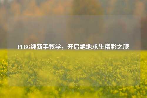 PUBG纯新手教学，开启绝地求生精彩之旅