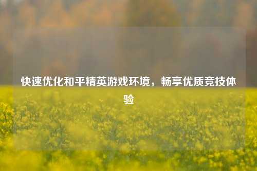 快速优化和平精英游戏环境，畅享优质竞技体验